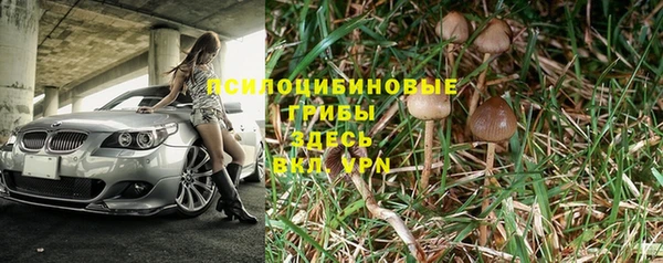 apvp Богородицк