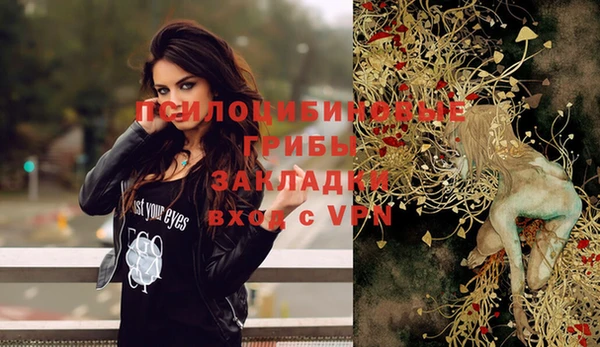 твердый Белоозёрский