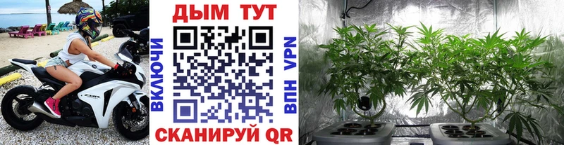 цена наркотик  Боготол  Шишки марихуана VHQ 